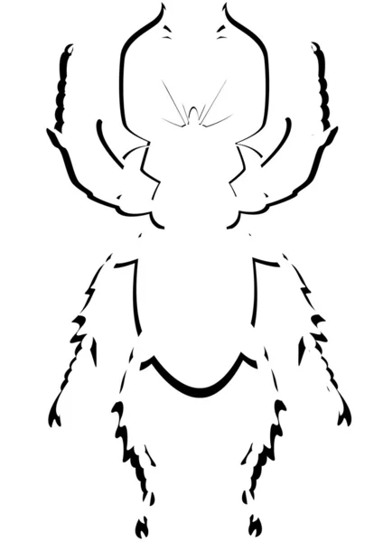 Contour beetle — Stock Vector