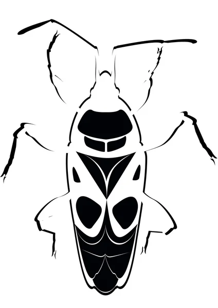 Contour soldier beetle — Stock Vector