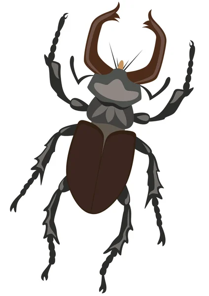 鹿角甲虫 — 图库矢量图片