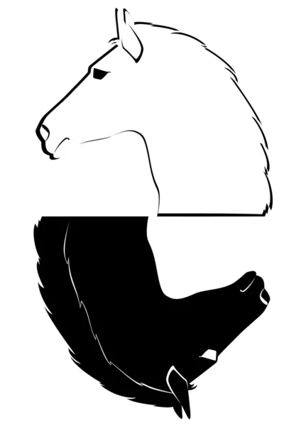 La cabeza de un caballo — Archivo Imágenes Vectoriales