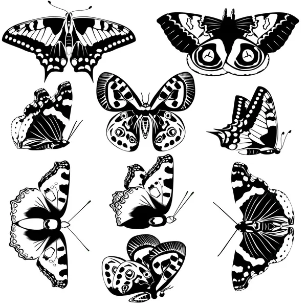Pillangók — Stock Vector