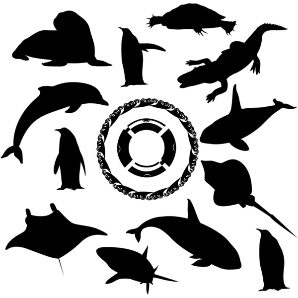 Fauna marinha — Vetor de Stock