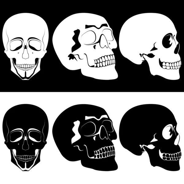 Cráneo monocromático — Archivo Imágenes Vectoriales