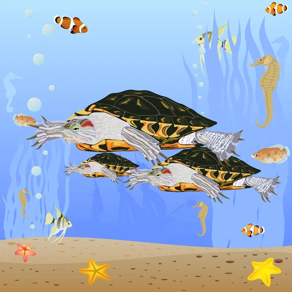 Sköldpaddor i havet — Stock vektor