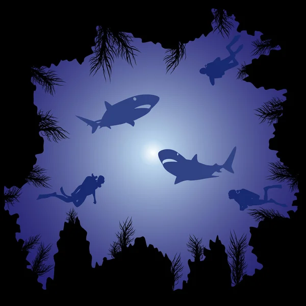 Sharks and scuba divers in the ocean — Stock Vector