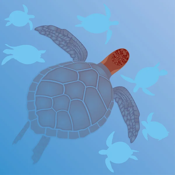 Meeresschildkröten im Wasser — Stockvektor