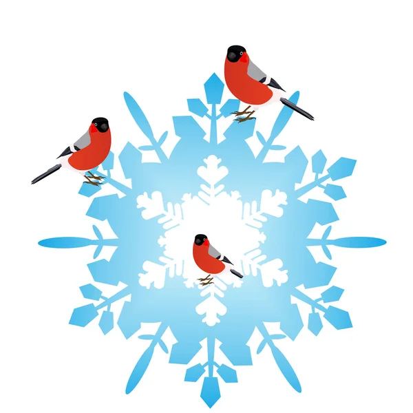 Bullfinches on a snowflake — Stock Vector