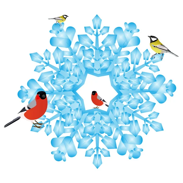 Bullfinch and tits on a snowflake — Stock Vector