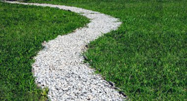 Tranquil garden stone way in the morning clipart