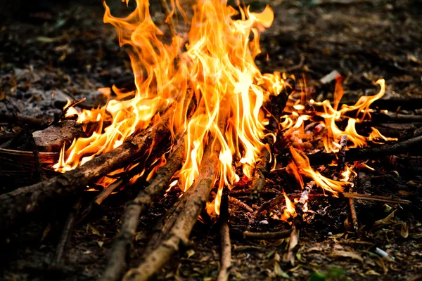火災の炎。コラージュ — ストック写真