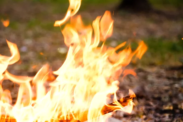 Hot fire flame for background — Stock Photo, Image