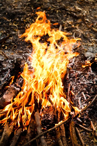 เปลวไฟ — ภาพถ่ายสต็อก