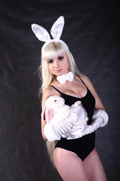 Dziewczyna ubrana jak strzelanie studio króliczek — Zdjęcie stockowe