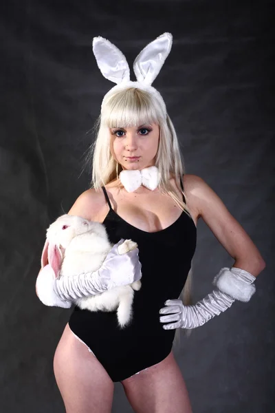 Dziewczyna ubrana jak strzelanie studio króliczek — Zdjęcie stockowe
