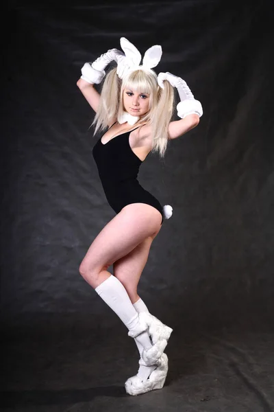 A girl dressed as a bunny studio shooting — Stock Photo, Image