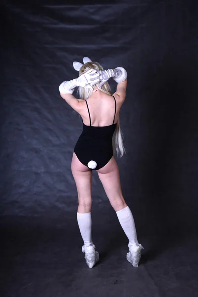 stock image A girl dressed as a bunny studio shooting