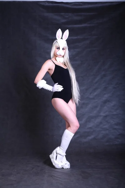 Een meisje gekleed als een konijntje studio schieten — Stockfoto