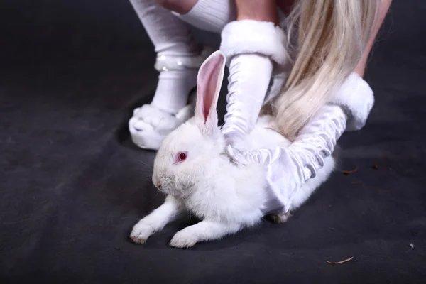 一个女孩打扮成兔子工作室拍摄 — 图库照片