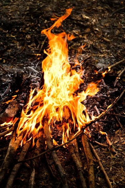 Fire flames with reflection on black background — Stock Photo, Image