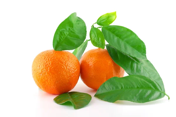 Ripe fresh mandarines — Stock Photo, Image