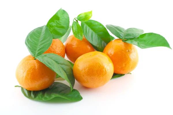 Reife frische Mandarinen mit grünen Blättern — Stockfoto