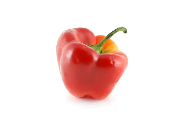 Röd paprika (paprika) — Stockfoto