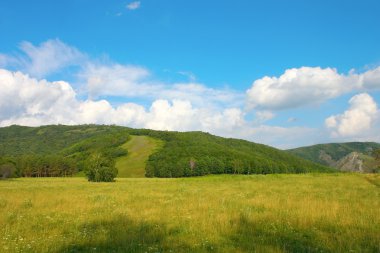 Güzel yaz manzarası