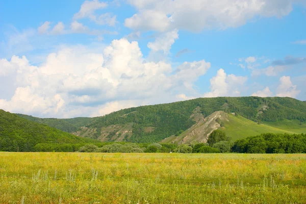 stock image Beautiful summer landscape