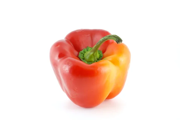 stock image Red sweet pepper