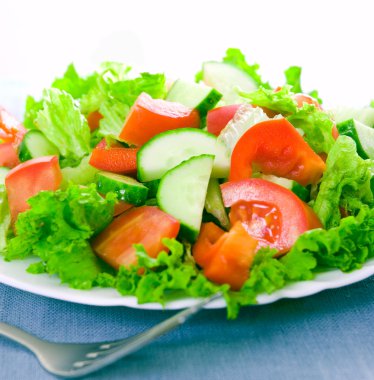 Tabakta sebze salatası