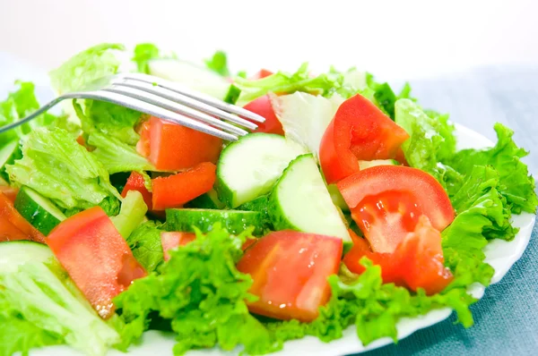 Ensalada de verduras en el plato — Foto de Stock