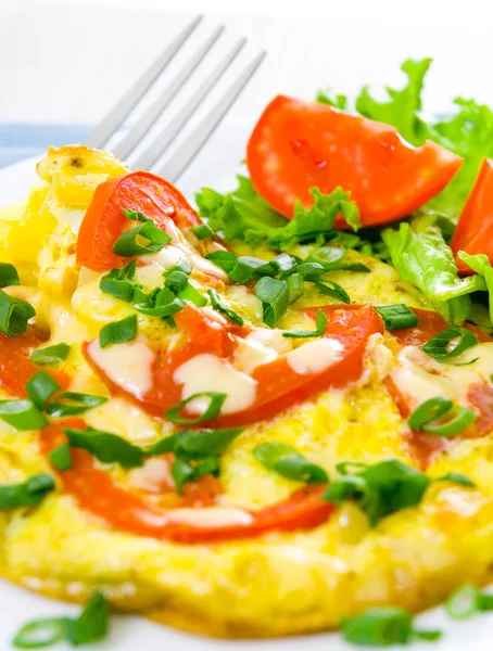 Omelet with tomatoes and green onions — Stock Photo, Image
