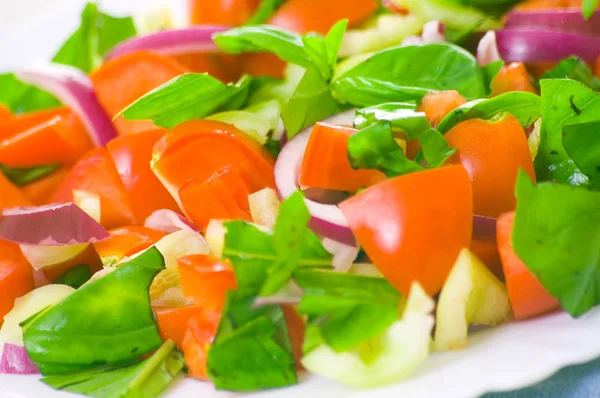 Färska grönsaker sallad med basilika — Stockfoto