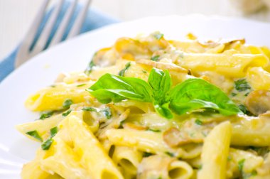 Penne makarna mantar ile