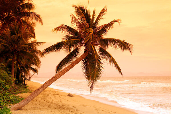 Beautiful sunset on tropic island
