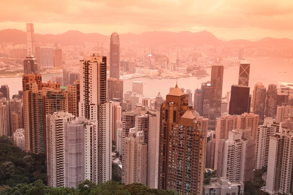 Sunset Hong Kong fra peak Victory - Stock-foto