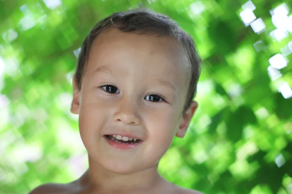 Zöld háttér boldog kisfiú portréja — Stock Fotó