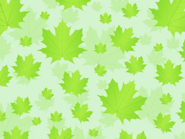 Frische Blätter Hintergrund — Stockvektor