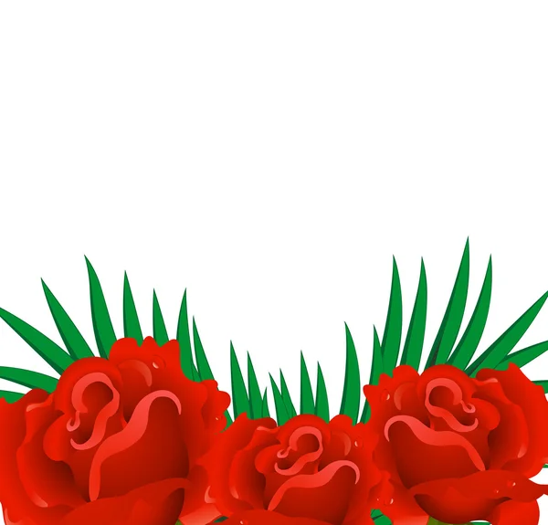 Hintergrund roter Rosenblätter. — Stockvektor