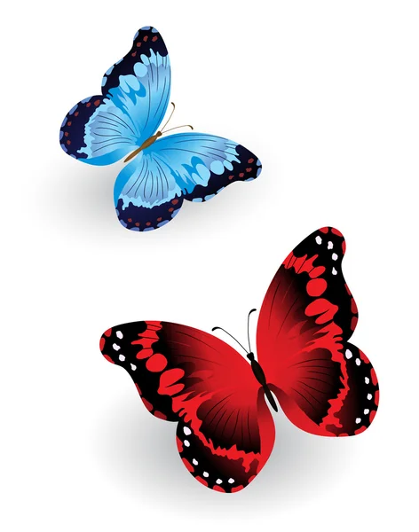 明亮的蓝色和红色蝴蝶 — 图库矢量图片