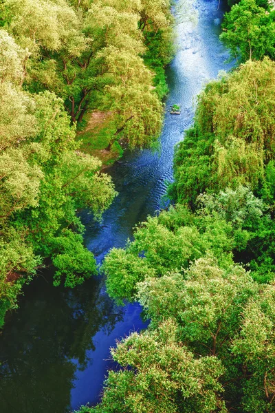 Forest River — Stock Photo, Image