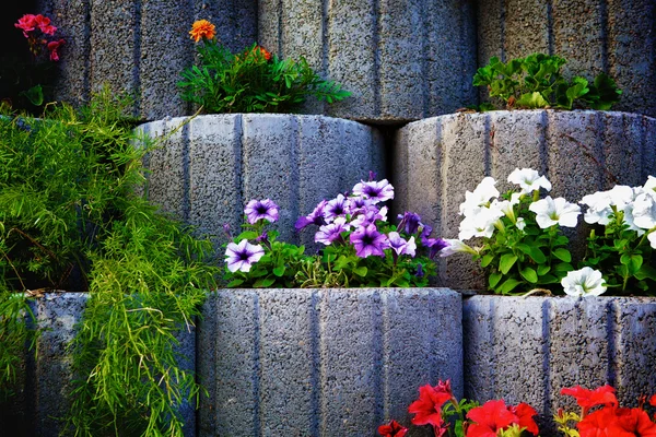 Stone Flowerbed Wall — Stock Photo, Image