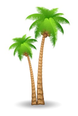 Palm tree clipart