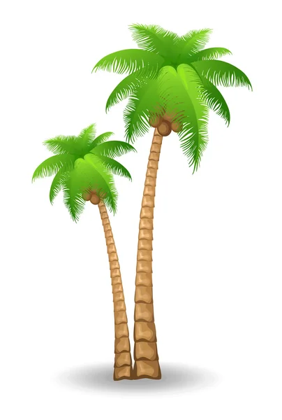Palmy — Wektor stockowy