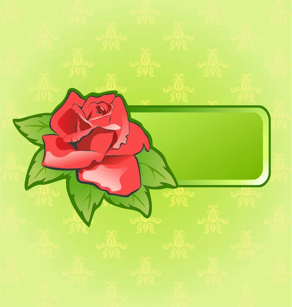 Green frame with rose — Stock Vector