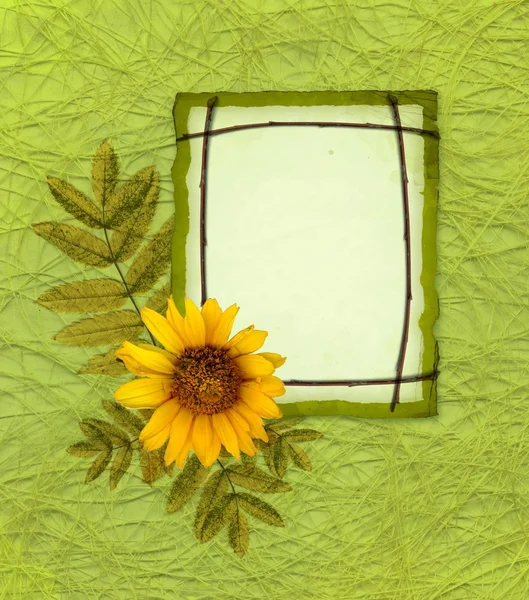 Елегантна рамка з квіткою — стокове фото