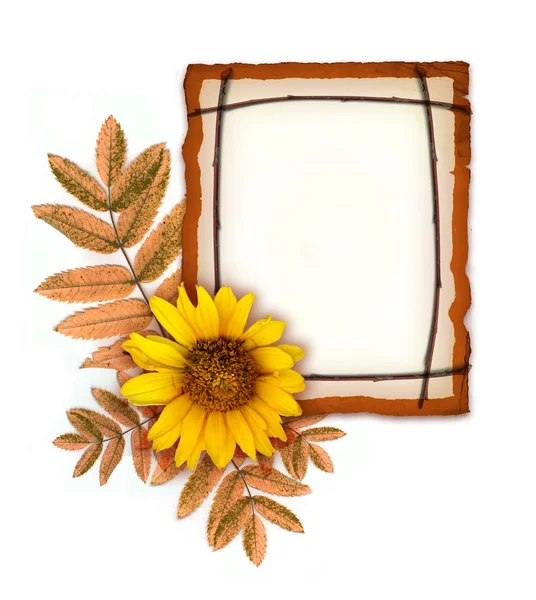 Vecchia carta con foglie autunnali e fiori — Foto Stock