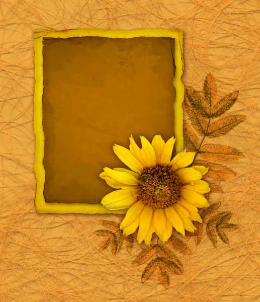 Background with old paper and flower — Stock Photo, Image