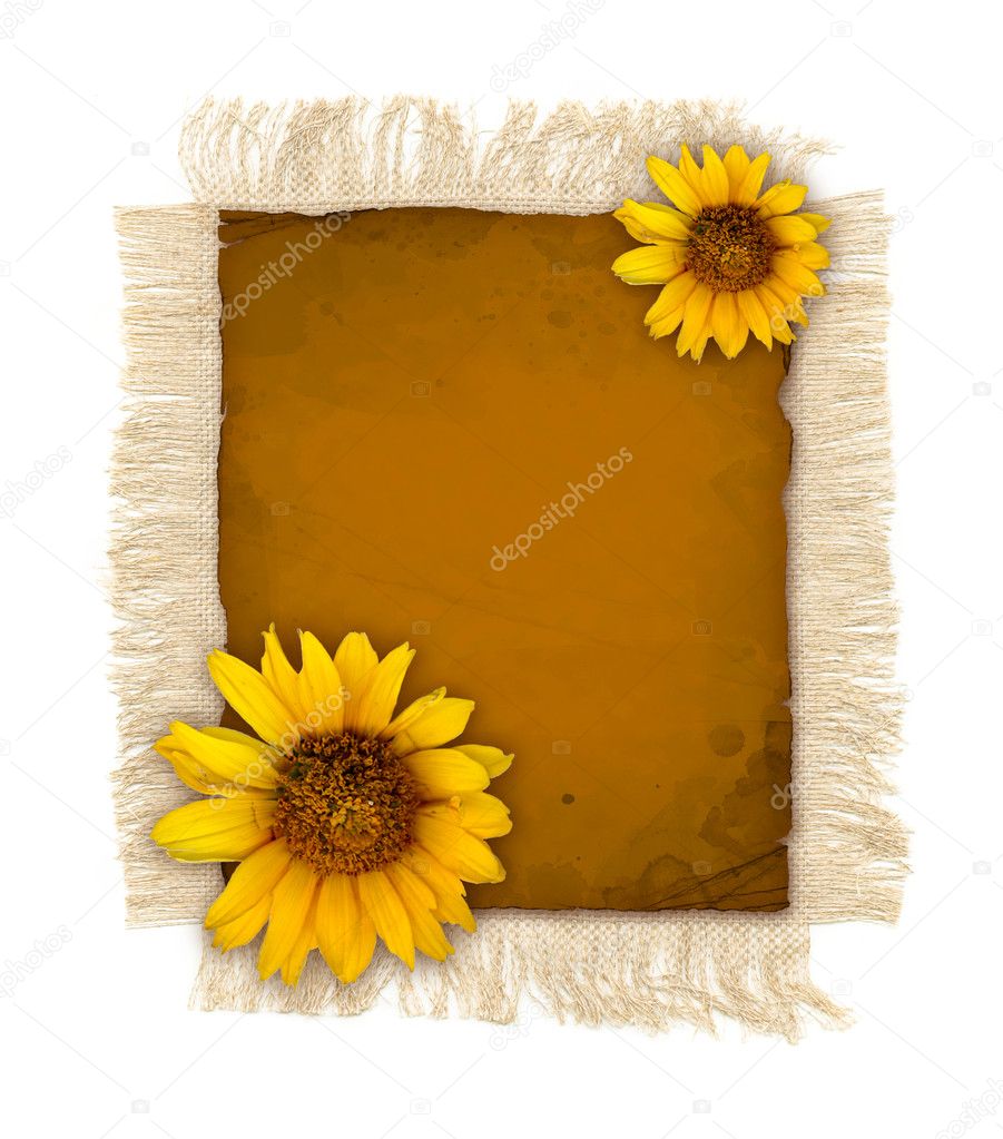 Old paper with flowers isolated on white