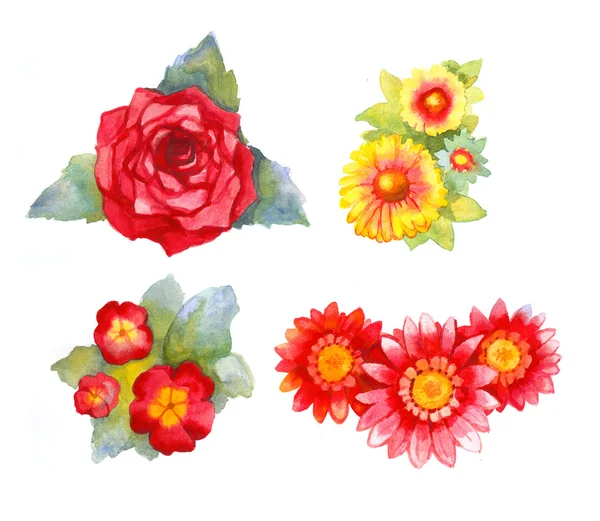 Watercolor flowers. Painting — Stock Photo, Image